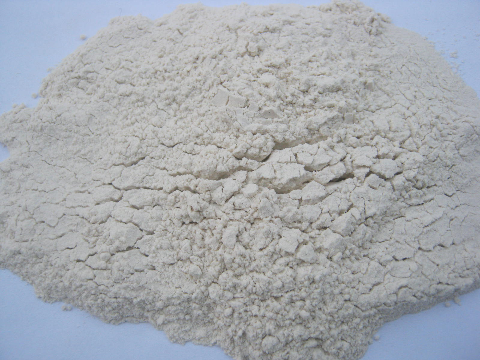 Dehydrated White onion Powder